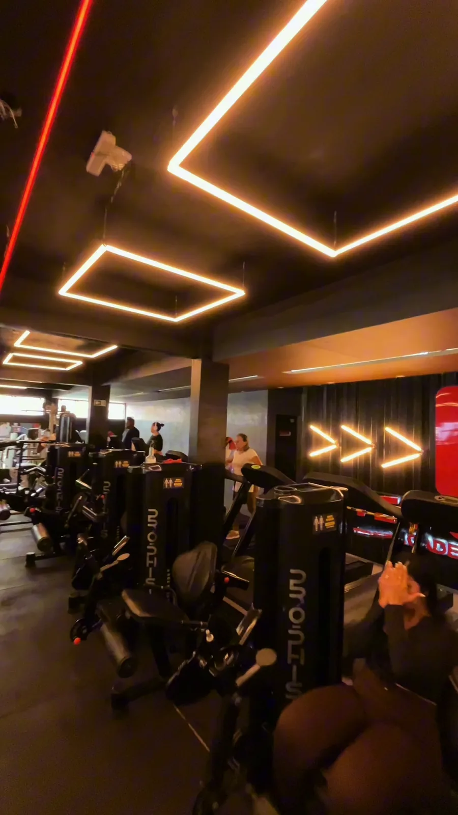 Equipamentos de musculação da Performance